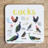 Fun Pun - Coasters