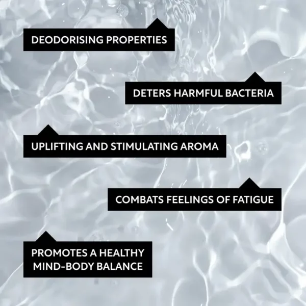 Home Mist with Lemongrass + Upcycled Grapefruit Water - Vegan