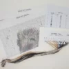 Bree Merryn - Harley the Hedgehog Cross Stitch Kit