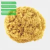 Honeycomb Natural Sea Sponge, Natural Bath Sponge