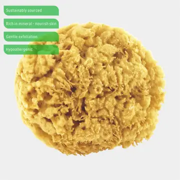 Honeycomb Natural Sea Sponge, Natural Bath Sponge