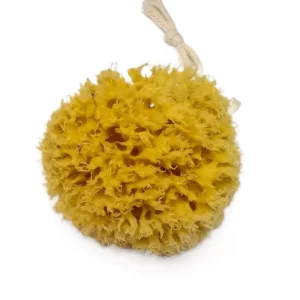 Honeycomb Natural Sea Sponge, Natural Bath Sponge