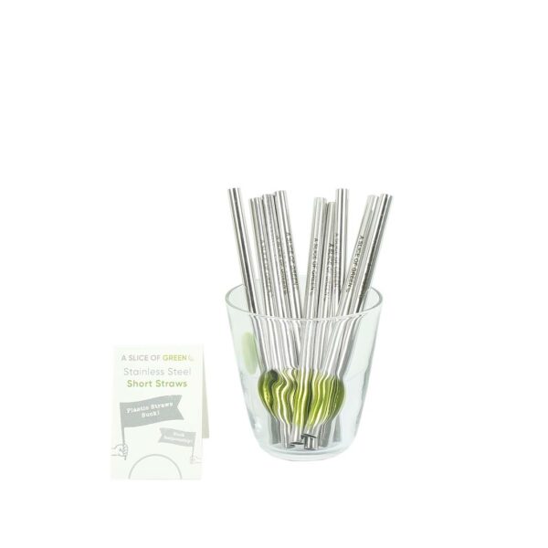 Stainless Steel Straw