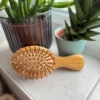 Mini Bamboo Hairbrush