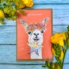 Greetings Cards - Assorted Designs - Eco-Friendly