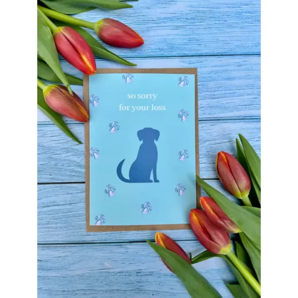 Greetings Cards - Assorted Designs - Eco-Friendly