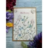 Greetings Cards - Assorted Designs - Eco-Friendly