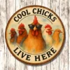 Metal Sign "Cool Chicks Live Here"  3x3 inch