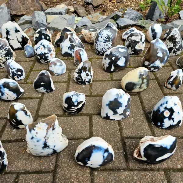 Orca Agate Crystal Stand Up 400g-500g