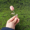 Natural Crystal Rose Ornament - Various Stones